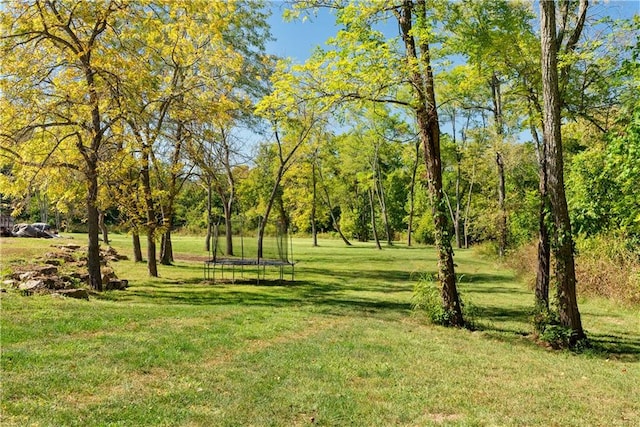 view of community featuring a lawn