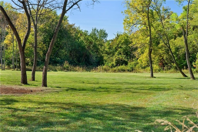 exterior space featuring a yard and a view of trees