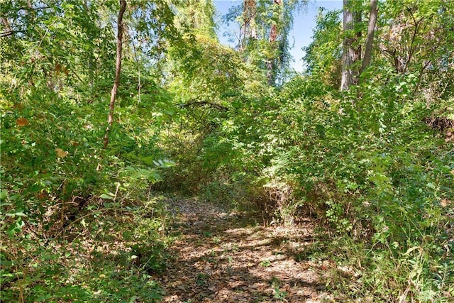 view of landscape with a forest view