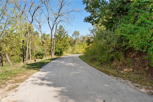 view of road featuring a view of trees