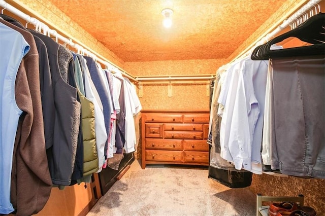 spacious closet with light colored carpet