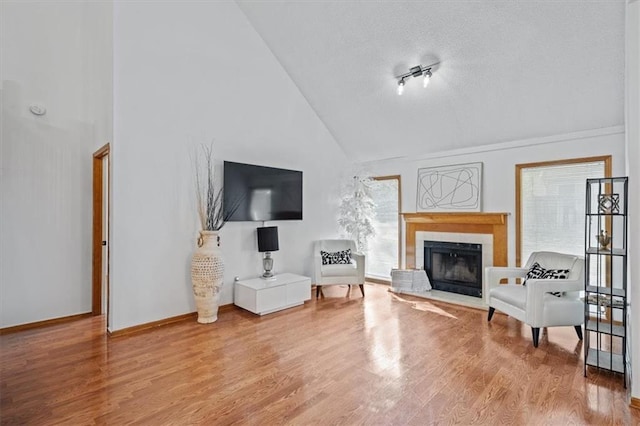 living room featuring wood-type flooring, high vaulted ceiling, a wealth of natural light, and track lighting