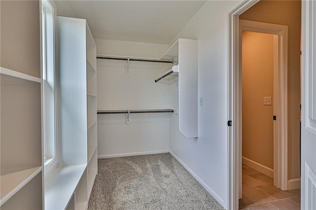 walk in closet with light carpet