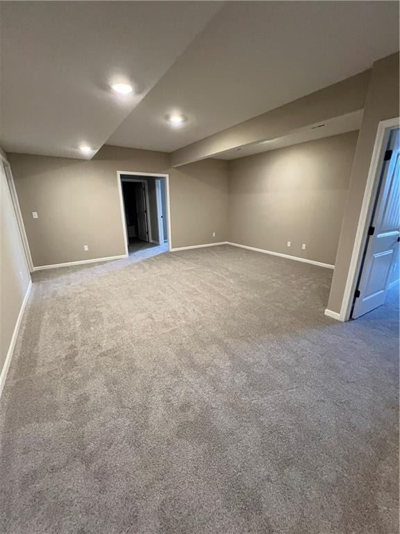 basement featuring carpet