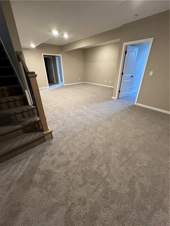 basement featuring carpet flooring