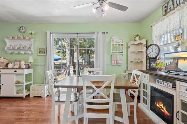 dining space featuring dark hardwood / wood-style flooring and ceiling fan