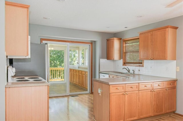 kitchen featuring light wood-type flooring, sink, white range, and tasteful backsplash