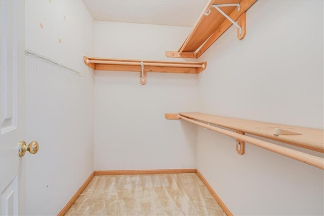 walk in closet featuring light colored carpet