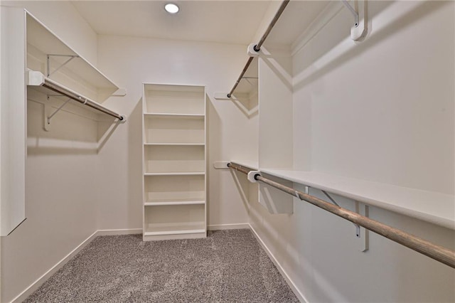 spacious closet featuring carpet floors