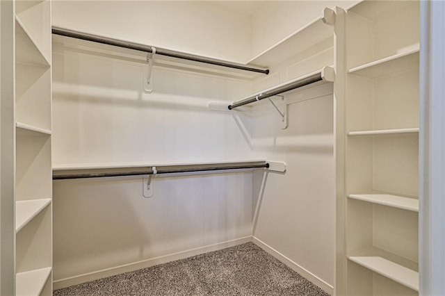 walk in closet with carpet flooring