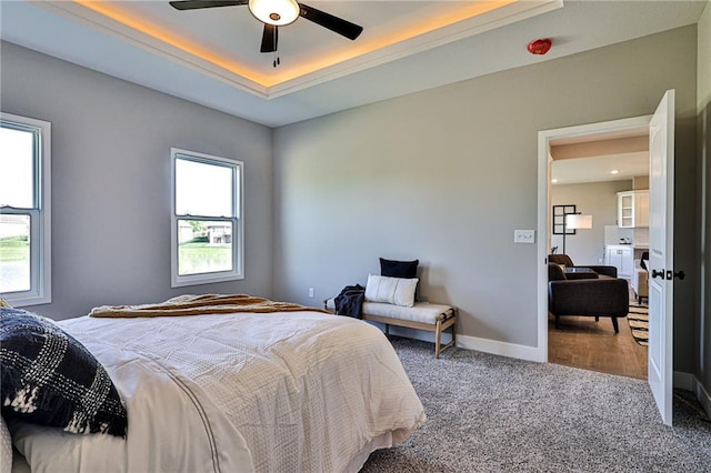 bedroom featuring baseboards, multiple windows, carpet, and a raised ceiling