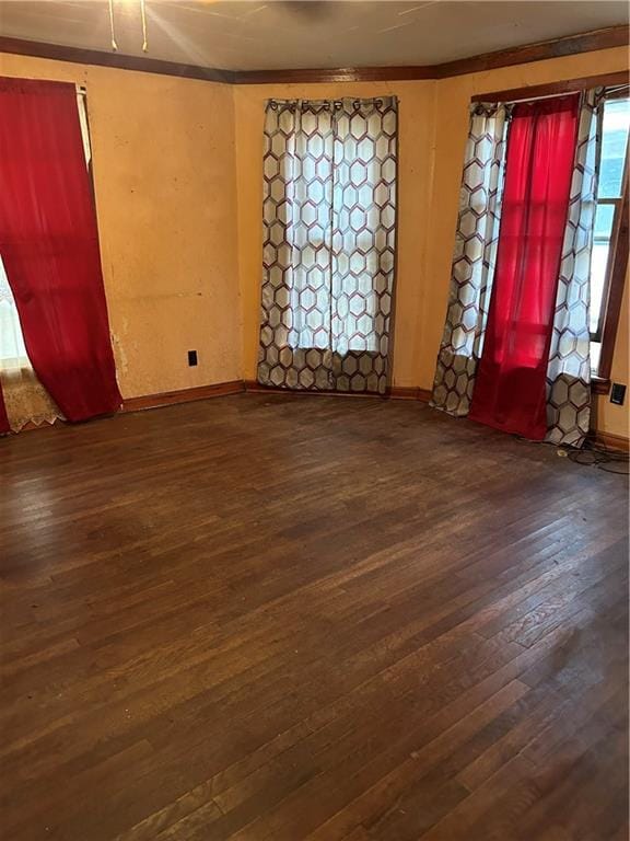 foyer featuring dark wood-type flooring and crown molding