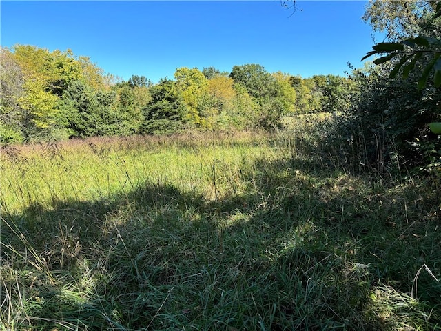 Oar Rd, Gallatin MO, 64640 land for sale