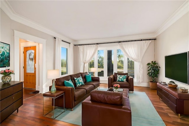 living room featuring ornamental molding and dark hardwood / wood-style floors