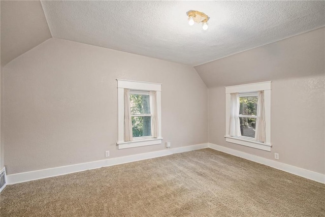 additional living space with lofted ceiling, a textured ceiling, and carpet flooring