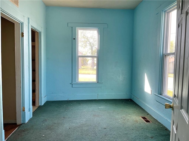 carpeted empty room with plenty of natural light