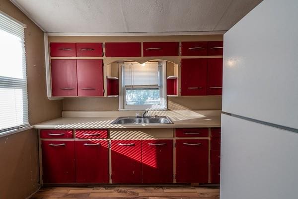 kitchen with sink, white fridge, and hardwood / wood-style flooring