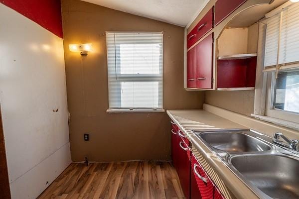 kitchen featuring lofted ceiling, dark hardwood / wood-style floors, and sink