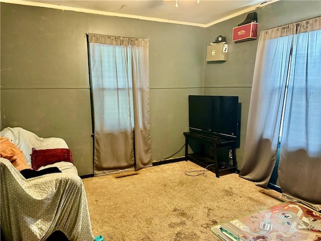 living area with ornamental molding and carpet flooring