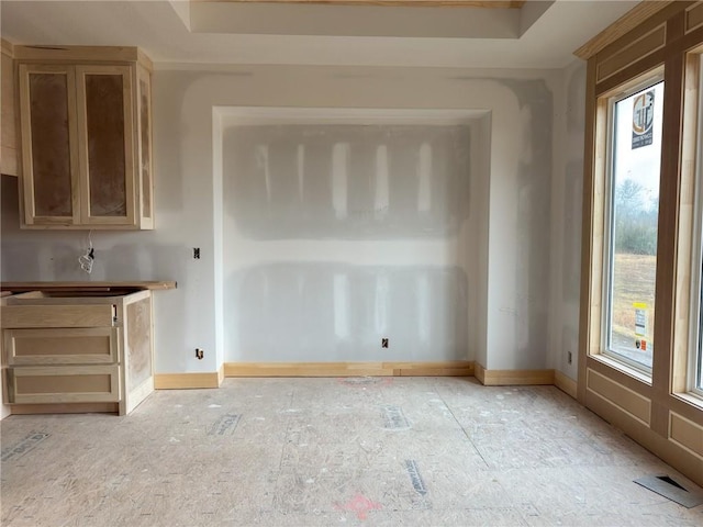 interior space with baseboards and a tray ceiling