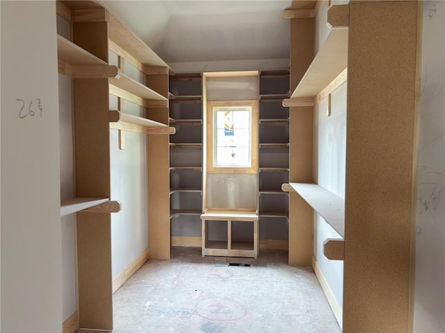 view of walk in closet