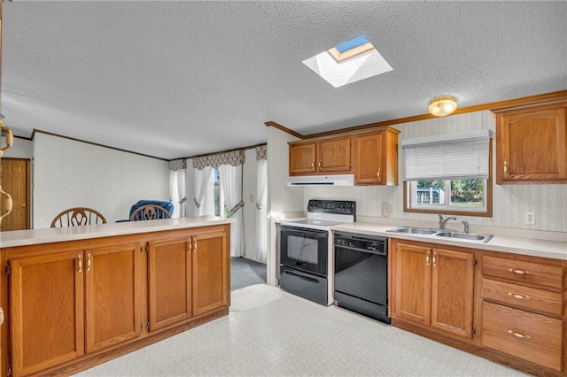 kitchen with ventilation hood, plenty of natural light, sink, and black appliances