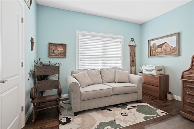 living room featuring dark hardwood / wood-style floors