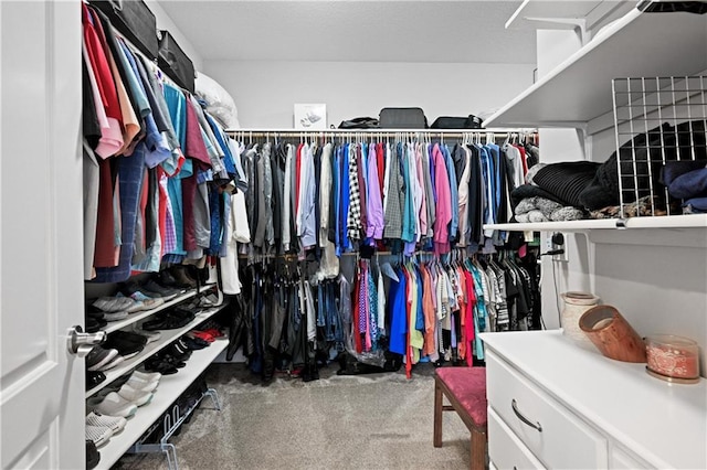 spacious closet with carpet