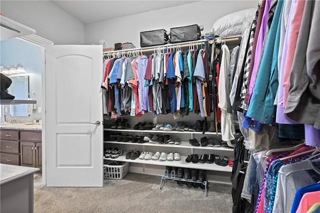 walk in closet with light colored carpet