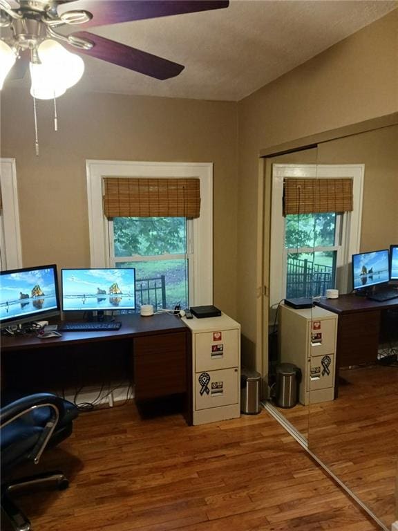 office space with ceiling fan and hardwood / wood-style flooring