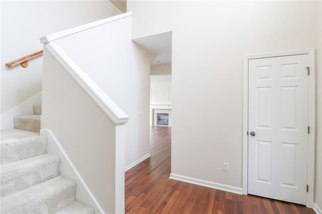 staircase with wood-type flooring and a tile fireplace