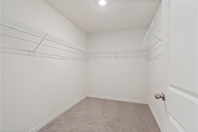 spacious closet with carpet floors