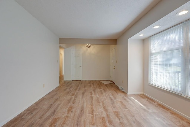 spare room featuring light wood-type flooring and a wealth of natural light