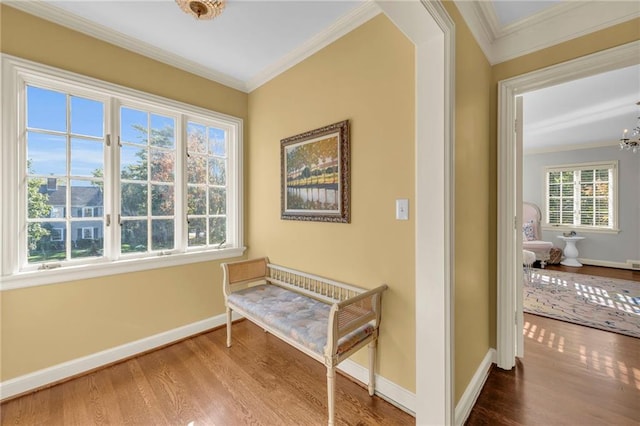 corridor with crown molding, wood-type flooring, and a wealth of natural light