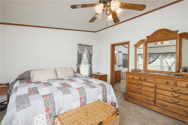 carpeted bedroom with ceiling fan, connected bathroom, and crown molding