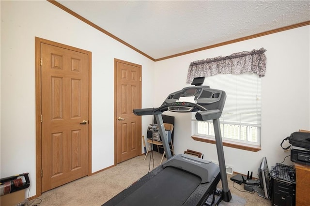 exercise area with light colored carpet, a textured ceiling, lofted ceiling, and ornamental molding