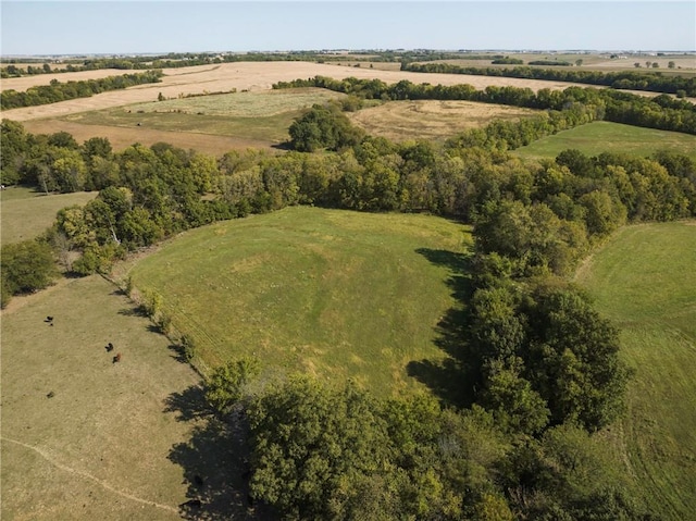 drone / aerial view with a rural view