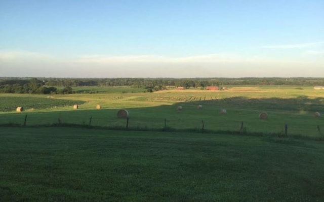 view of yard featuring a rural view