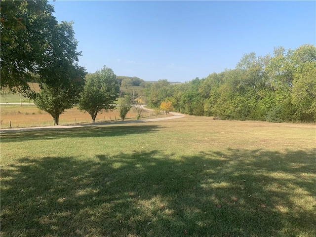 view of yard with a rural view