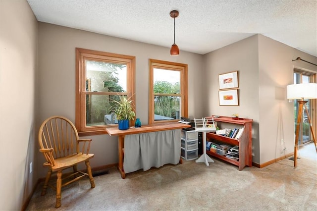 sitting room featuring a textured ceiling and light colored carpet