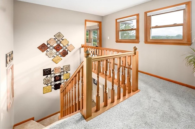 staircase featuring carpet