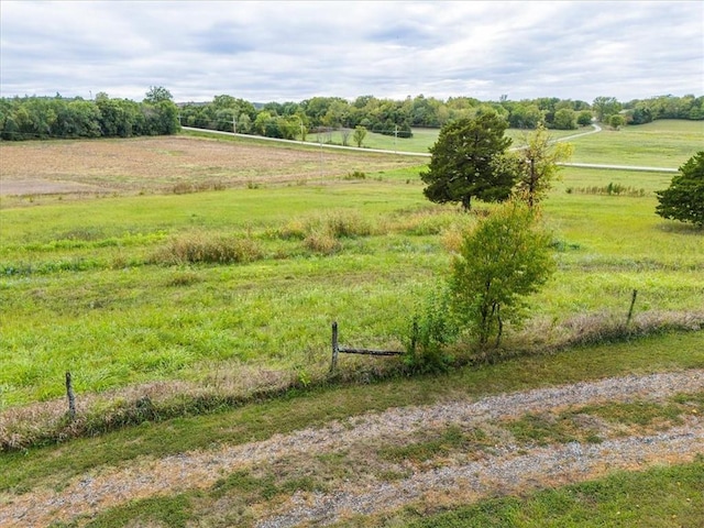 view of yard featuring a rural view