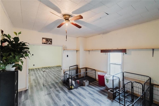 929 N 7th St, Atchison, KS 66002 - spare room with wood finished floors and a ceiling fan