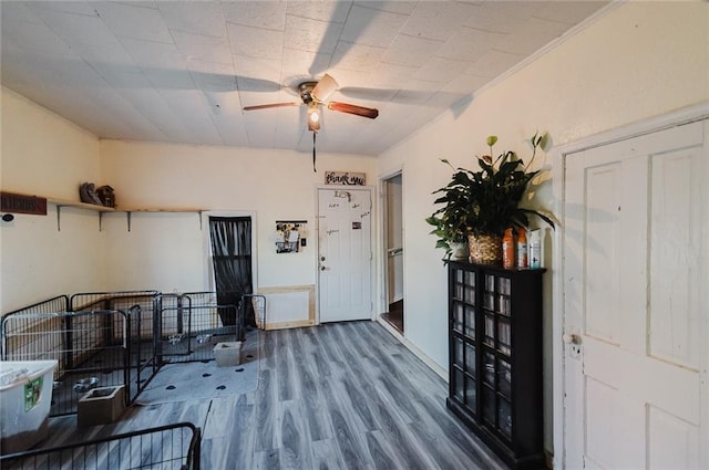 929 N 7th St, Atchison, KS 66002 - entrance foyer featuring wood finished floors, a ceiling fan, and ornamental molding