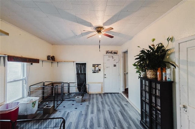 929 N 7th St, Atchison, KS 66002 - entrance foyer with a ceiling fan and wood finished floors