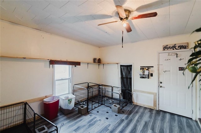 929 N 7th St, Atchison, KS 66002 - misc room with wood finished floors and ceiling fan