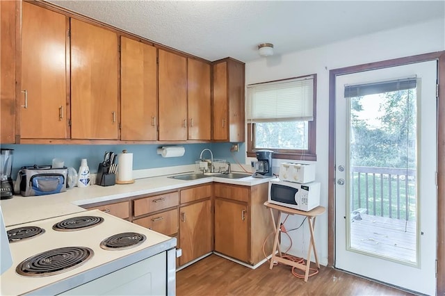 kitchen with electric range oven, light hardwood / wood-style floors, and sink