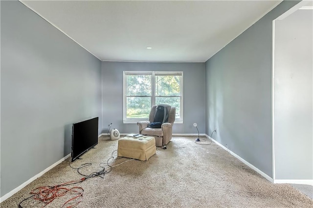 unfurnished room featuring carpet