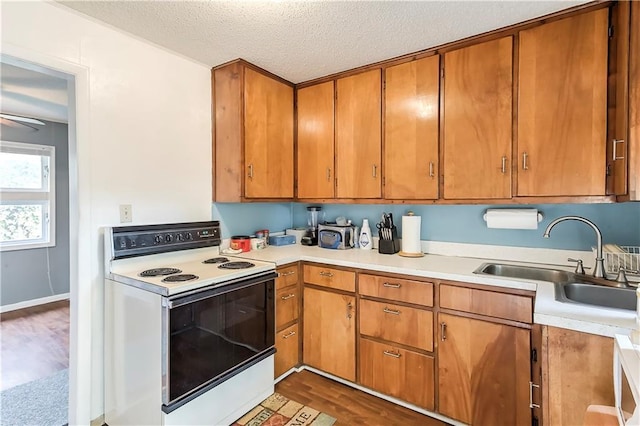 kitchen with white electric range, a textured ceiling, dark hardwood / wood-style floors, and sink