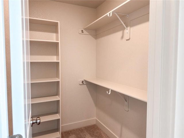 walk in closet featuring carpet flooring
